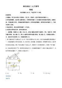 湖北省2023-2024学年高三上学期12月月考物理试卷（Word版附解析）