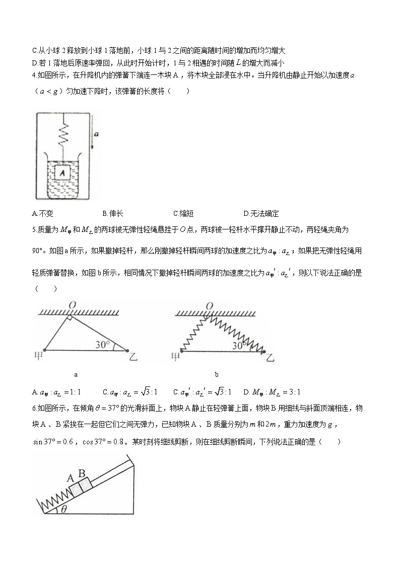 2024辽宁省实验中学高一上学期12月月考试题物理含解析02