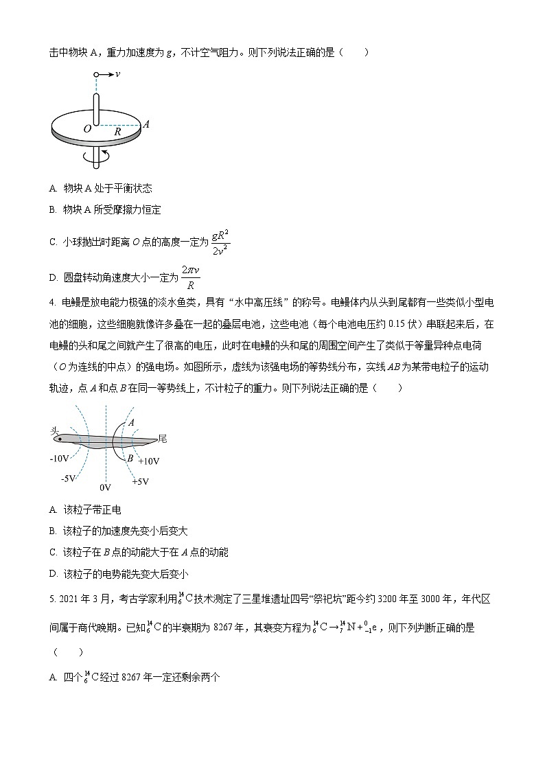 2024中山一中高三上学期第五次统测试题物理含解析02