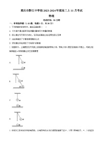 2024重庆市黔江中学高二上学期11月月考物理试卷含解析