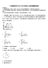 广东省高级中学2023-2024学年高三上期末物理模拟试题