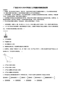 广东省2023-2024学年高三上学期期末物理试题试卷