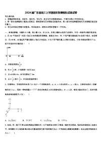 2024届广东省高三上学期期末物理模拟试题试卷