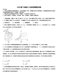 2024届广东省高三上期末物理模拟试题