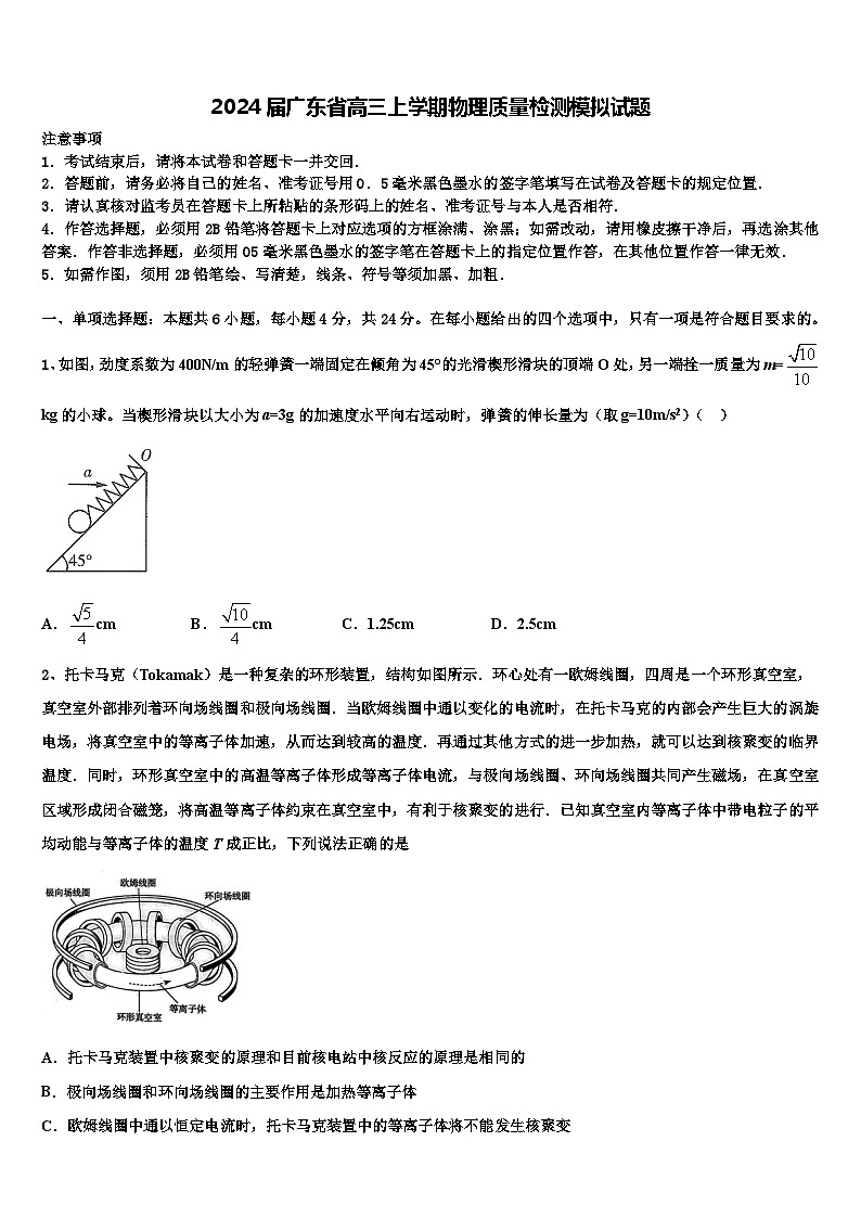 2024届广东省高三上学期物理质量检测模拟试题01