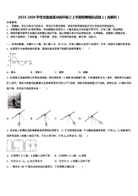 2023-2024学年河南省重点高中高三上学期物理模拟试题1（含解析）