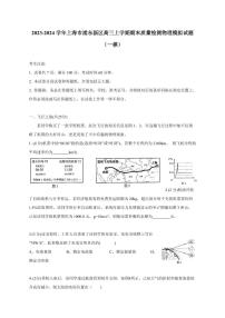 2023-2024学年上海市浦东新区高三上学期期末质量检测物理模拟试题（一模）含解析