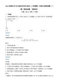 2024届重庆市乌江新高考协作体高三上学期第一次联合调研抽测（一模）物理试题 （解析版）