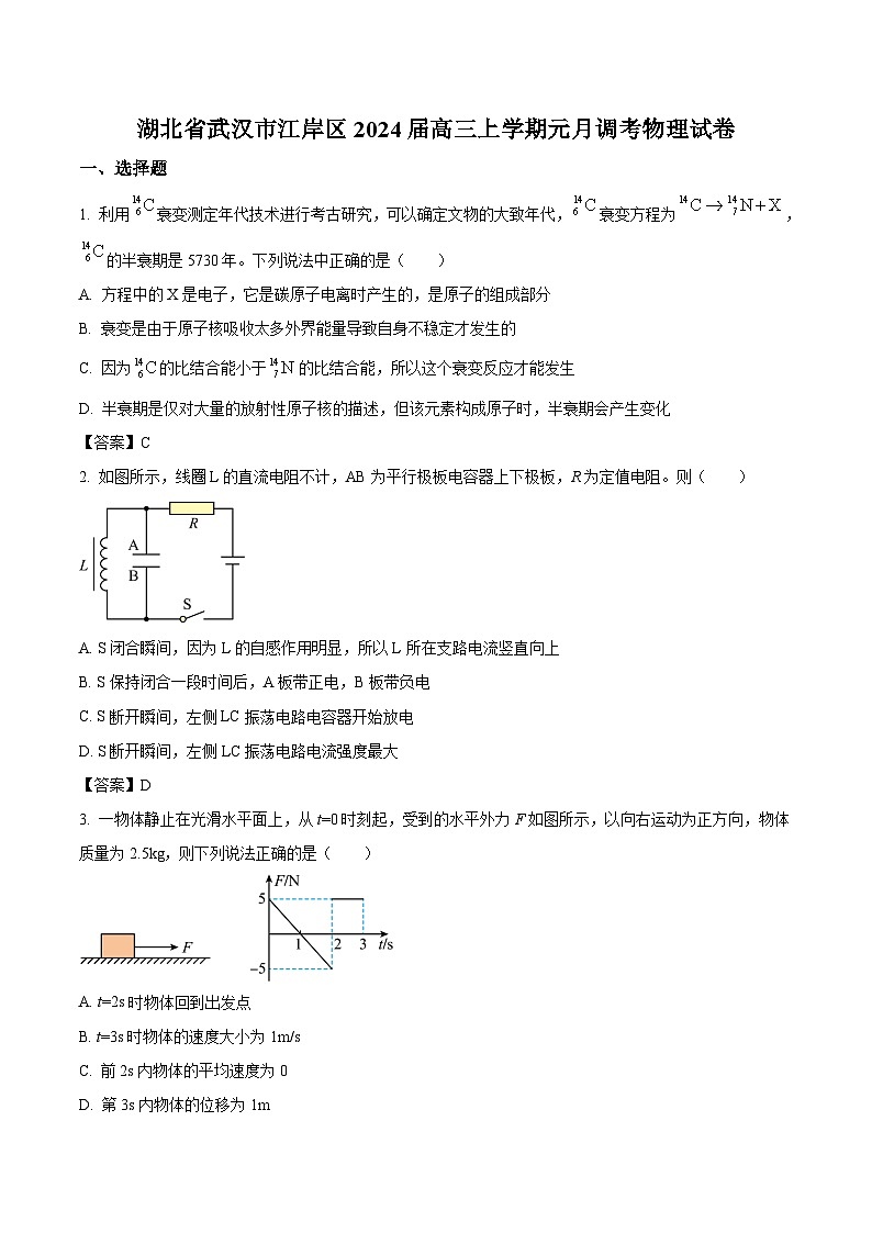 2024届湖北省武汉市江岸区高三上学期元月调考物理试题（Word版）01