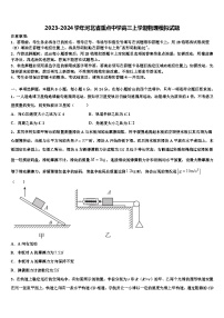 2023-2024学年河北省重点中学高三上学期物理模拟试题