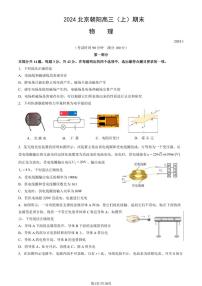 2024北京朝阳高三（上）期末物理试题及答案