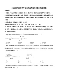 2024届河南省联考高三新高考适应性测试物理试题（Word版）