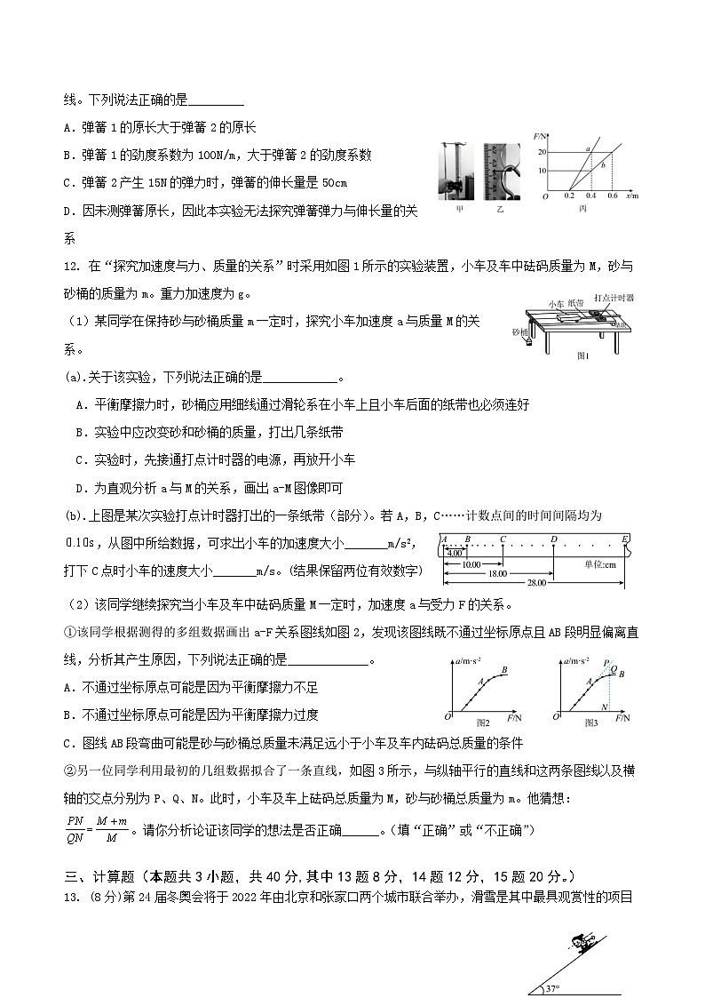 2024郴州“十校联盟”高一上学期期末模拟考试物理含答案第3页