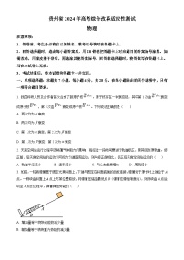 2024年1月普通高等学校招生全国统一考试适应性测试（九省联考）物理试题（适用地区：贵州）