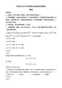 2024年1月普通高等学校招生全国统一考试适应性测试（九省联考）物理试题（适用地区：贵州）（Word版附解析）