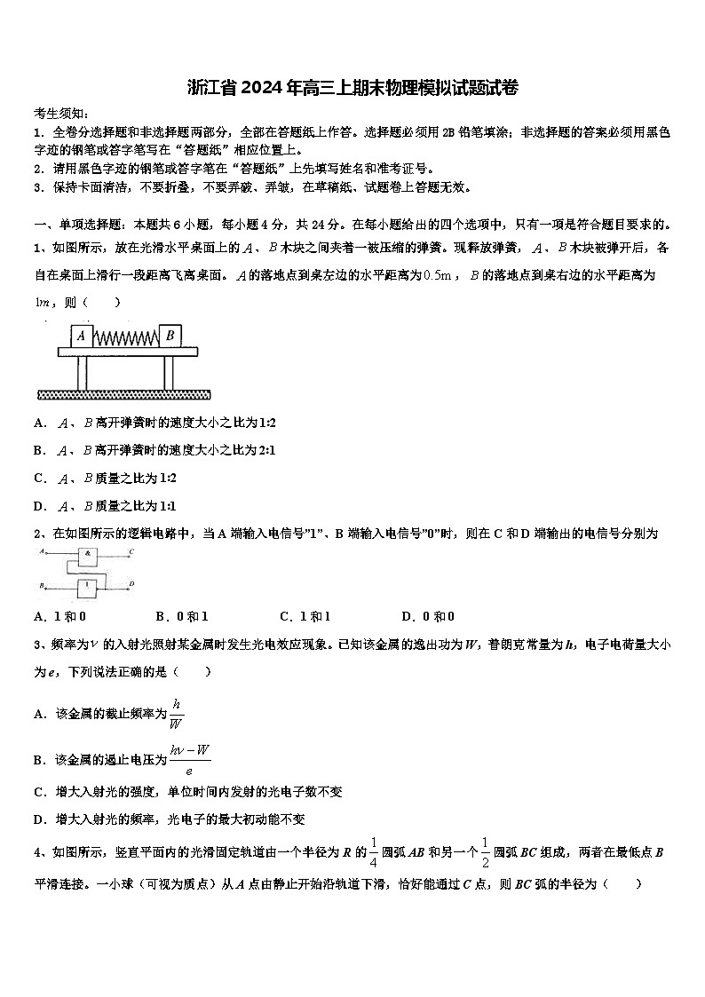 浙江省2024年高三上期末物理模拟试题试卷第1页