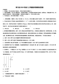 浙江省2024年高三上学期期末物理测试试题