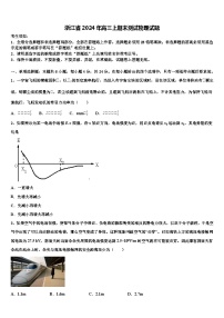 浙江省2024年高三上期末测试物理试题