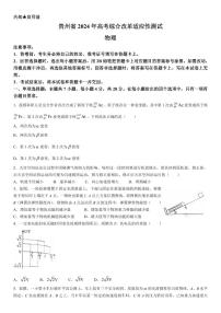 物理（九省联考●贵州卷）丨2024年1月高三上学期普通高等学校招生全国统一考试适应性测试物理试卷