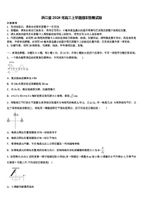 浙江省2024年高三上学期期末物理试题