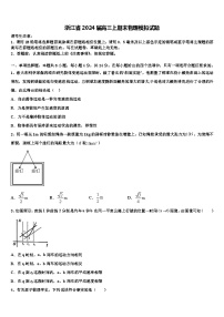 浙江省2024届高三上期末物理模拟试题