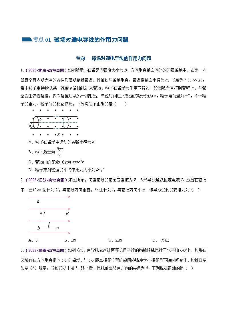 专题10+磁场+带电粒子在磁场中的运动（练习）-2024年高考物理二轮复习讲练测（新教材新高考）02
