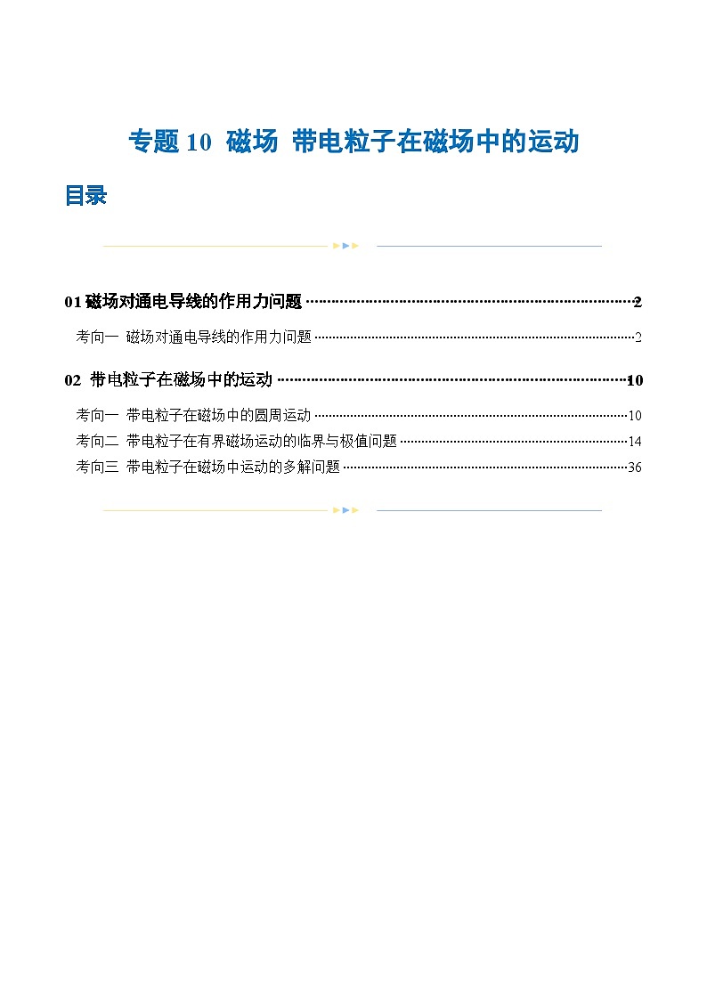 专题10+磁场+带电粒子在磁场中的运动（练习）-2024年高考物理二轮复习讲练测（新教材新高考）01