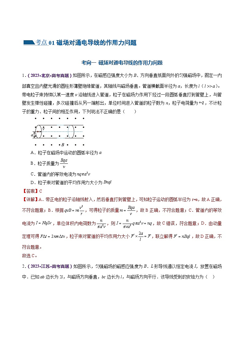 专题10+磁场+带电粒子在磁场中的运动（练习）-2024年高考物理二轮复习讲练测（新教材新高考）02