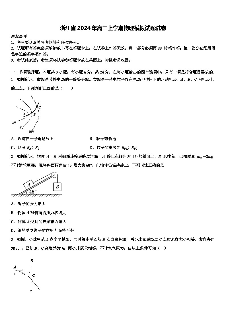 浙江省2024年高三上学期物理模拟试题试卷第1页