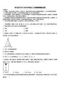 浙江省2023-2024学年高三上学期物理模拟试题