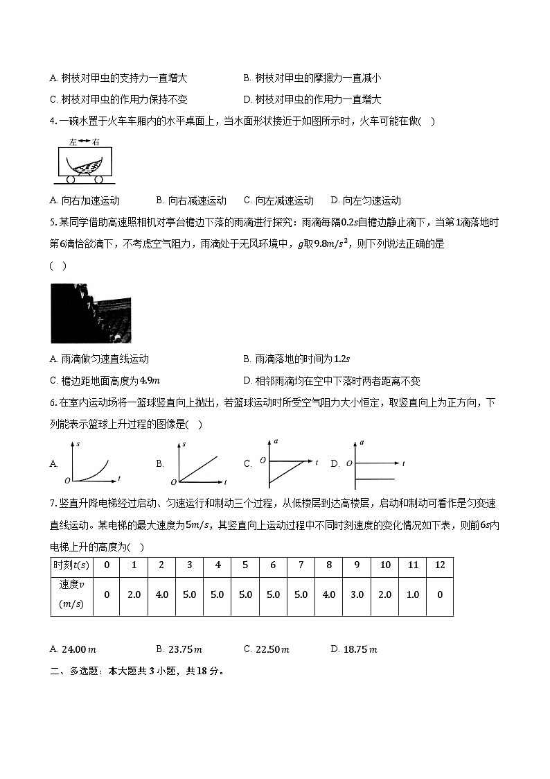 2023-2024学年广东省广州市荔湾区高一（上）期末统考物理试卷（含解析）02