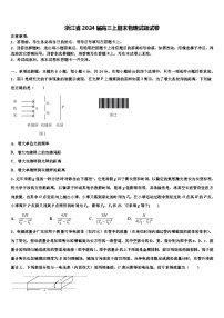 浙江省2024届高三上期末物理试题试卷