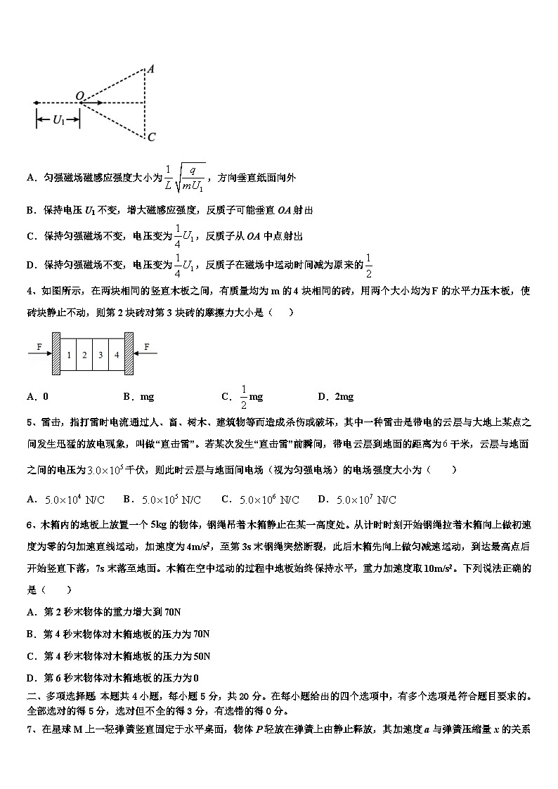 浙江省重点中学2024年高三上期末物理模拟试题第2页