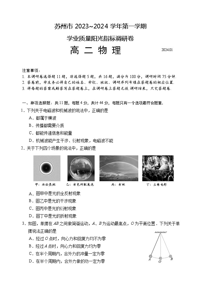 2024苏州高二上学期期末学业质量阳光指标调研试题物理含答案第1页