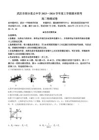 湖北武汉部分重点中学（六校）2023-2024学年高二上学期期末联考物理试卷