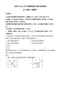 2024益阳高二上学期期末考试物理试题含解析