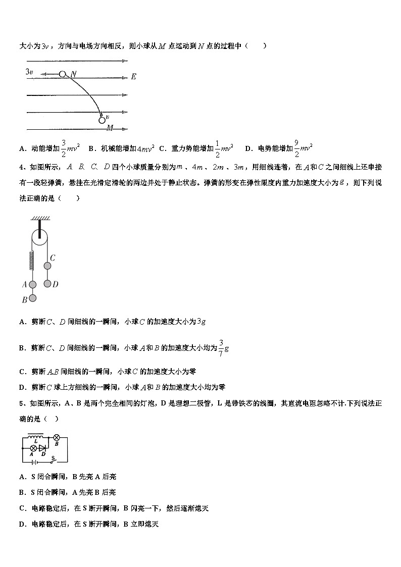 广西2024届上期末高三物理试题试卷第2页