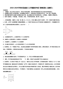 2023-2024学年河北省高三上学期期末考试 物理试题（含解析）