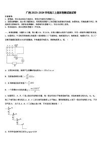 广西2023-2024学年高三上期末物理试题试卷