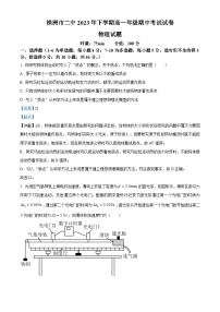 湖南省株洲市第二中学2023-2024学年高一上学期期中考试物理试卷（Word版附解析）