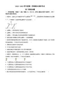 2024保定高二上学期期末物理含解析