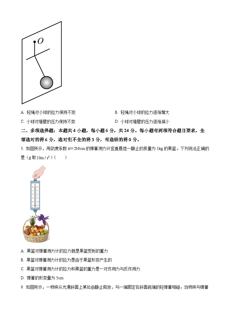 福建省漳州第一中学2023-2024学年高一上学期期末模拟物理试题（原卷版）第2页