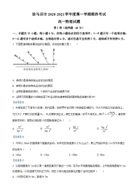 河南省驻马店市2020-2021学年高一（上）期末物理试题