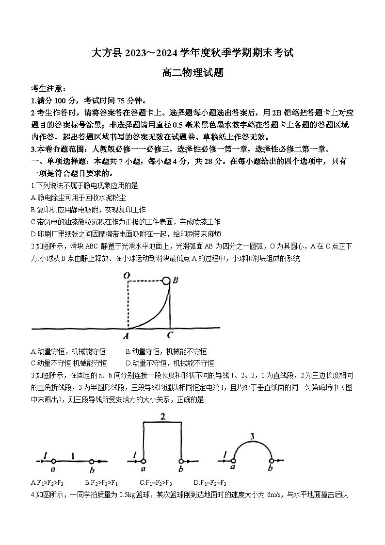 贵州省毕节市大方县2023-2024学年高二上学期期末考试物理试题(无答案)第1页