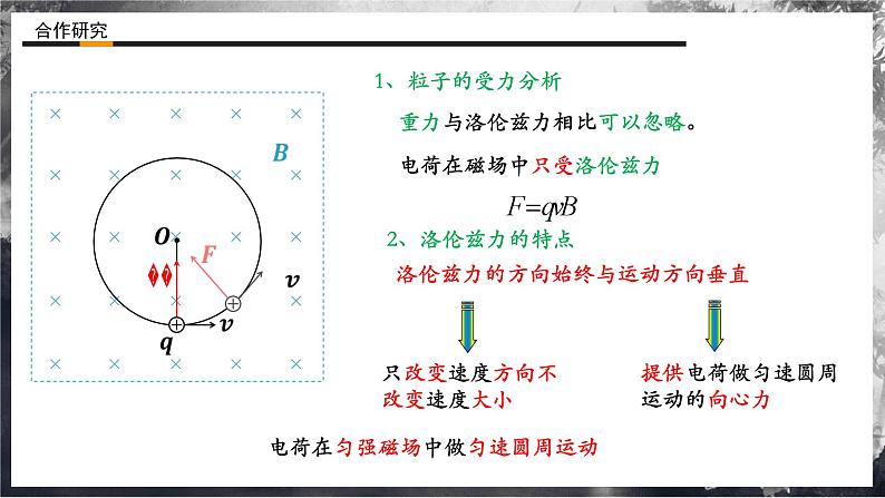 【沪科版物理】选择性必修二  5.3《带电粒子在匀强磁场中的圆周运动》课件+同步练习03