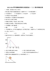 2023-2024学年湖南省株洲市炎陵县高一（上）期末物理试卷(含解析）