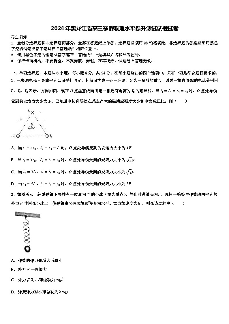 2024年黑龙江省高三寒假物理水平提升测试试题试卷第1页