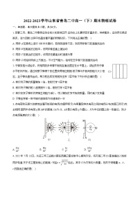 2022-2023学年山东省青岛二中高一（下）期末物理试卷（含详细答案解析）