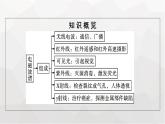 人教版（广西专用）高中物理选择性必修第二册第4章电磁振荡与电磁波4电磁波谱课件