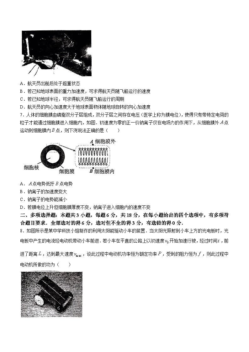 82，广东肇庆中学2022-2023学年高三下学期3月月考物理试卷第3页